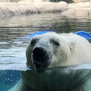 Meet your Posher, Theresa